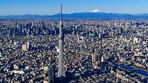 Tokyo Skytree, Asakusa, and Imperial Palace 1/2-Day Private Tour 