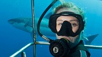 20 Cape Town Adventures for 20 young adults (All Inclusive)