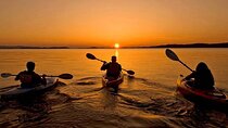 Luxor Museum Private Tour with Kayak Experience