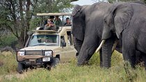 9-Days Best Kenya Wildlife Private Family Safari from Nairobi