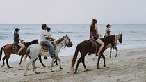 Explore the Desert or Seaside on Horseback In Sharm El Sheikh