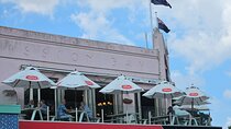 Auckland City Highlights Tour