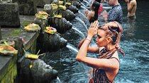 Tour in Ubud with a Private Driver