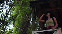 Birdwatching and Scenic Trail
