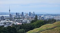 Auckland City Halfday Private Tour