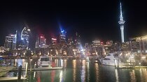 Auckland Halfday Private Guided Tour