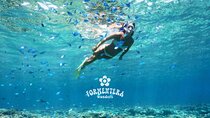All Inclusive Boat Tour to Formentera Wonders Beaches