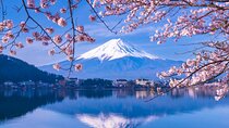 Tokyo: Mt. Fuji, Oshino Hakkai and Gotemba Outlets 1Day Bus Tour