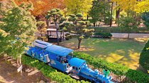 Nami Island, Apple Picking, Rail bike & Autumn Light Festival