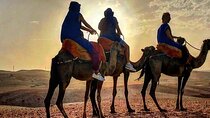  Agafay Desert: Camel ride, dinner and fire show