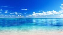El cielo Cozumel From Cancún and round Transfer with Lunch
