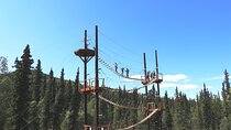 Denali Zipline & Brewery Tour – Half-Day Adventure