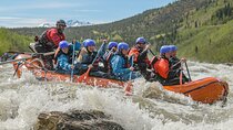 Denali Rafting & Brewery Tour – Half‑Day Scenic Adventure