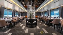 Taliya Luxury Day Cruise Ha Long and Lan Ha Bay 5 Star Experience