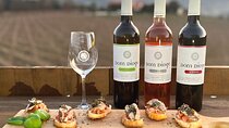 Discover the Indigenous Grape Varieties of the Basto Region