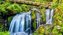 Zurich Black Forest Private Tour 