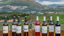 Customized Wine Tasting: Your Choices