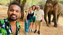 Discover the Wild Magic of Udawalawe National Park