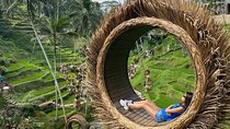 Ubud private Tour : Waterfalls - Monkey Forest and Rice Terrace