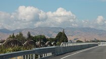 Picton & Blenheim Scenic Tour