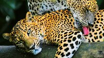 8 Days Wonder Sri Lanka Explorer