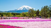 Mount Fuji & Fuji Shibazakura Festival One Day Trip From Tokyo