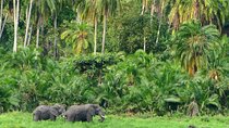 Nature Adventure Chebera Cherchura National Park
