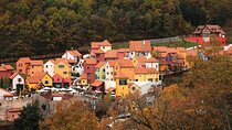 Nami Island and Petite France & Italian Village Day Trip from Seoul