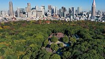 Tokyo: Meiji Shrine Walking Tour — Shintoism & Imperial System
