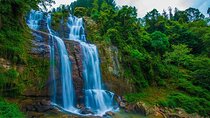 Sri lanka 4 Days Sightseeing Tour