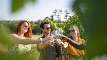 Provence Wine Tour - Small Group Tour from Cannes