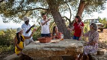Private Wine Tour in Provence with an Expert