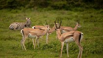 3 Days Private Budget Camping Tour