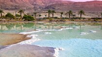 Day Tour from Amman to Dead Sea 