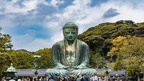 Kamakura Tour Great Buddha Enoshima & English Pro Guide & Driver