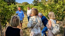 Small-group Vienna Wine Tour