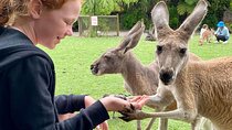 Bespoke Perth City and Surrounds Day Tour