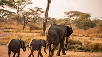 5-Days Private Budget Camping Safari 