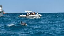 Private Speedboat – Snorkeling & Dolphin Watching & Abu Monkar