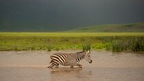 6 Days Private Budget Camping Tour