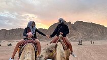  Super safari (Quad, Camel, Dinner and Show) in Sharm El-Sheikh