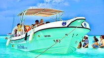 Full day Saona Island All Inclusive Adventure