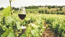Exclusive Half-Day Wine Cultural Tour in Kefalonia