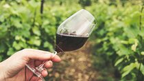 Historical and Authentic Kefalonia Wine Journey