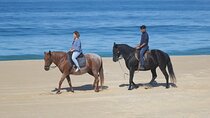 Discovering Silver Coast Adventure
