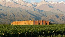 Shared Uco Valley Gourmet Wine Tour