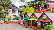 Bob Marley Nine Mile Private Tour from Montego Bay