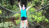 Private Volcanic Oasis Natural Springs Day Tour