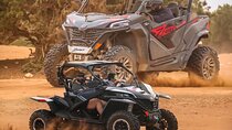 Agadir Buggy Adventure – Dunes & Argan Forests with Hotel Pickup