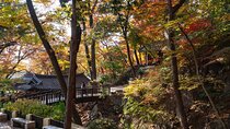 Seoul Unveiled: Untold Stories and Lost Histories